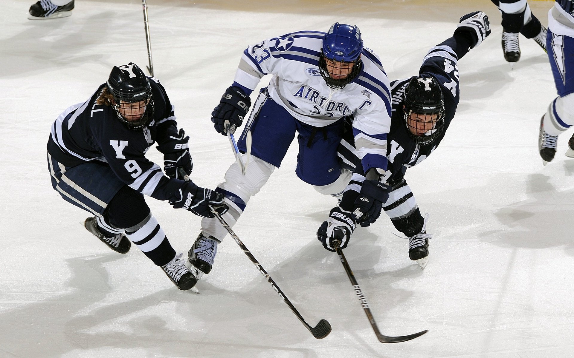 冠军争夺进入白热化阶段,积分榜变数不断,冠军热门
