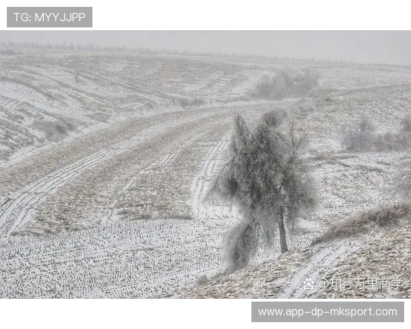 “极端天气：暴雨和大雪中的生死一瞬”，极端天气遇难