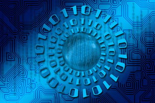 mk体育全站-关键一战：谁能赢得晋级的最后一搏？，关键一战 同义词